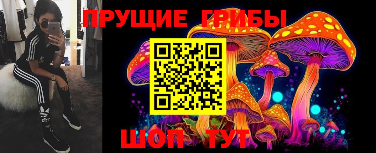 Псилоцибиновые грибы GOLDEN TEACHER  Псилоцибиновые грибы прущие грибы  Протвино  Вход с VPN 
