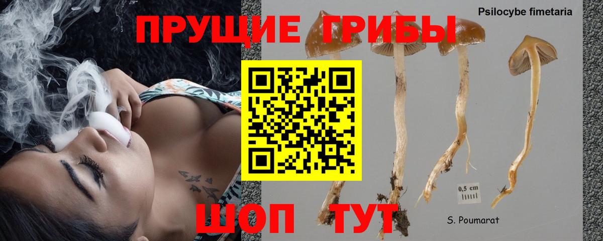 Галлюциногенные грибы GOLDEN TEACHER Протвино